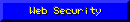 Web Security